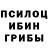 Галлюциногенные грибы GOLDEN TEACHER Khose