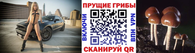 Галлюциногенные грибы GOLDEN TEACHER  Облучье 